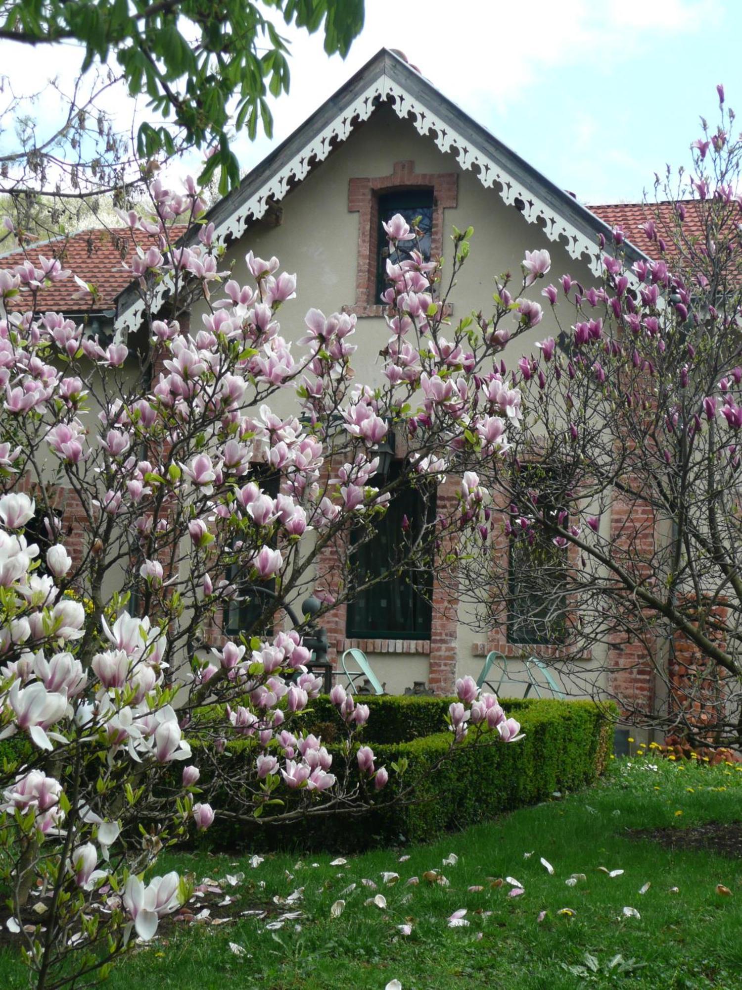 Au Fond De La Cour Bed & Breakfast Veyre-Monton Luaran gambar