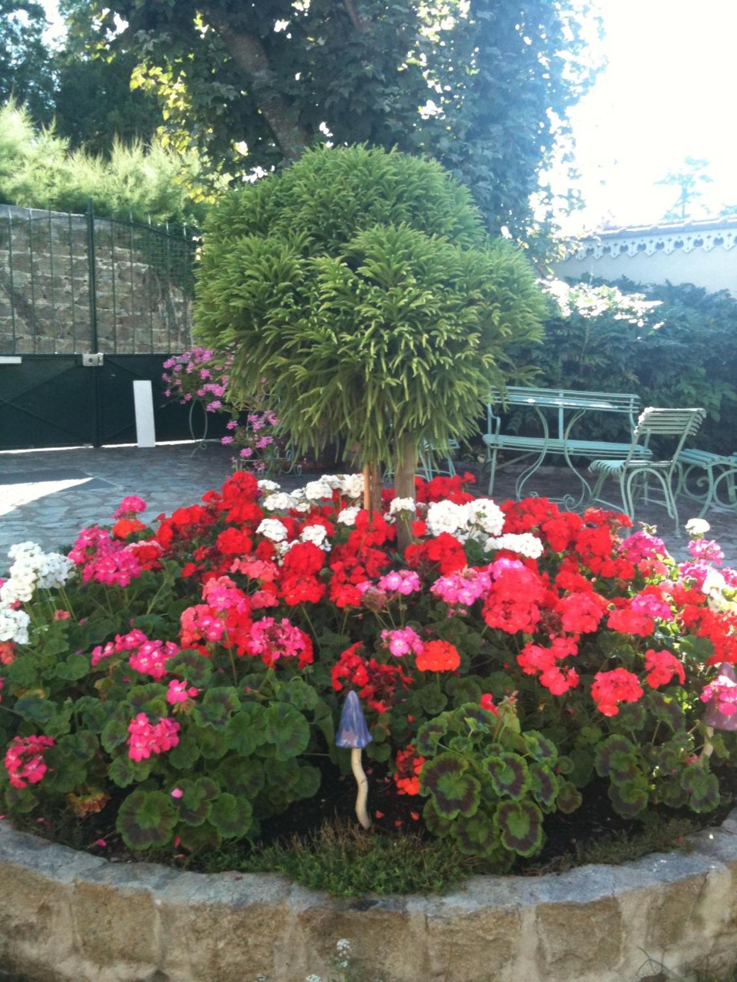 Au Fond De La Cour Bed & Breakfast Veyre-Monton Luaran gambar