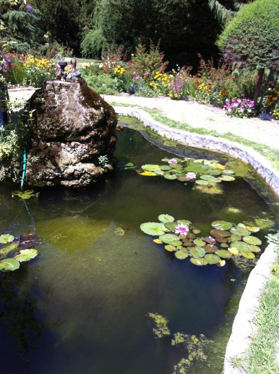 Au Fond De La Cour Bed & Breakfast Veyre-Monton Luaran gambar